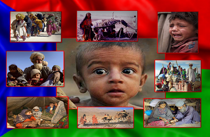 Baloch Refugee
