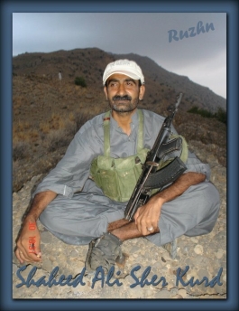 Shaheed Advocate Ali Sher Kurd 4